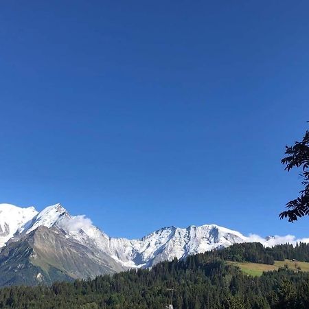 La Comtesse Διαμέρισμα Saint-Gervais-les-Bains Εξωτερικό φωτογραφία